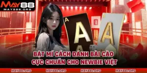 Bật Mí Cách Đánh Bài Cào Cực Chuẩn Cho Newbie Việt