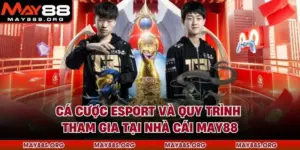 Cá Cược Esport Và Quy Trình Tham Gia Tại Nhà Cái MAY88